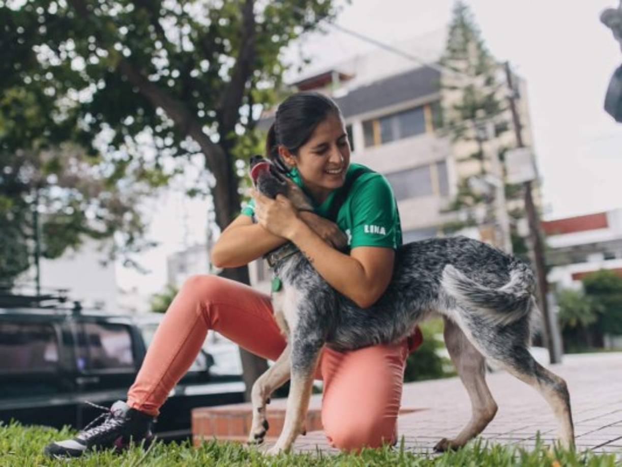6. Acaricia a tu mascota.<br/><br/>Si estás cerca de tu perro o mascota preferida, aprovecha para acariciarla cuando te sientas muy tenso, ya que de acuerdo con investigadores del National Center for Infectious Diseases, estos animales disminuyen la presión arterial.