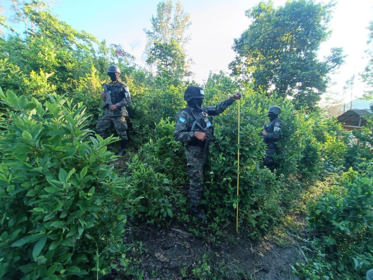 Hasta ahora no se ha detenido a ninguna persona, pero se ha iniciado una investigación para saber a quién pertenece el terreno y el laboratorio para procesar droga.