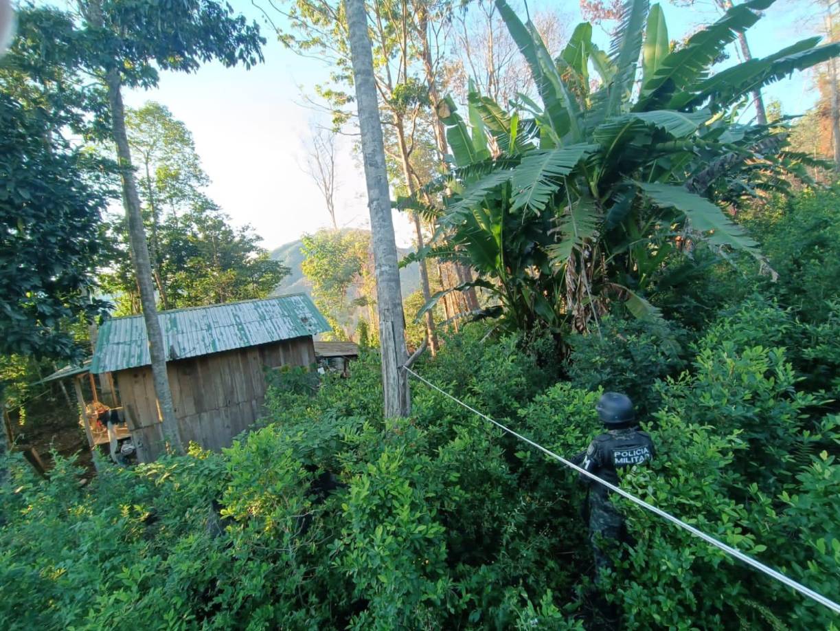 Honduras pasó a ser en los últimos años un país en el que los narcotraficantes también procesan droga, principalmente cocaína, de acuerdo a fuentes oficiales.