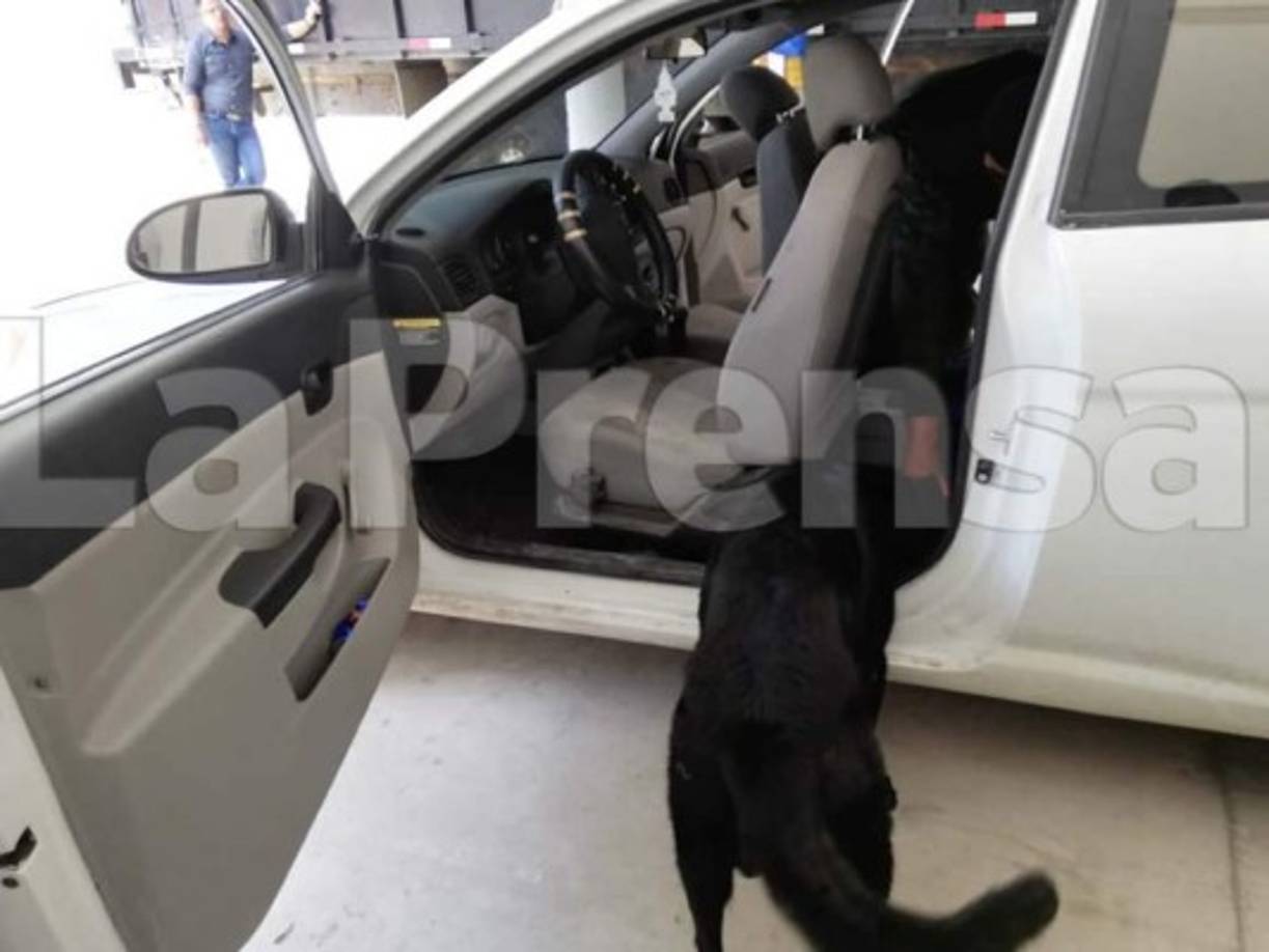 'La Agencia Técnica de Investigación Criminal (Atic) hizo un trabajo de seguimiento y encontró un carro con 16 paquetes con 20 mil dólares cada uno. En caletas ocultas dentro del vehículo. No se ha concluido con la cantidad de paquetes que venían', indicó el vocero.
