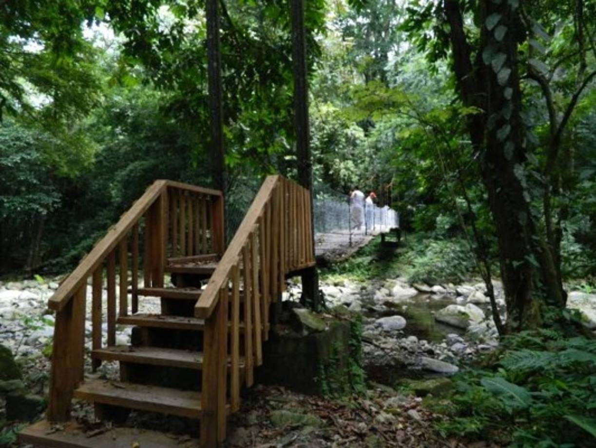 Si desea pasar una noche con la naturaleza hay alojamiento.