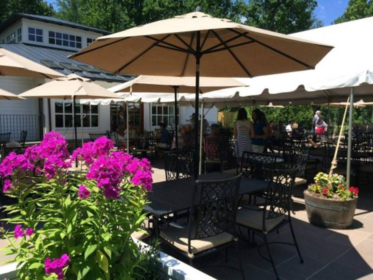 Trump compró un viñedo que antes de la recesión estaba valorizado en US$ 70 millones. Así que Trump consiguió un gran descuento por la propiedad.