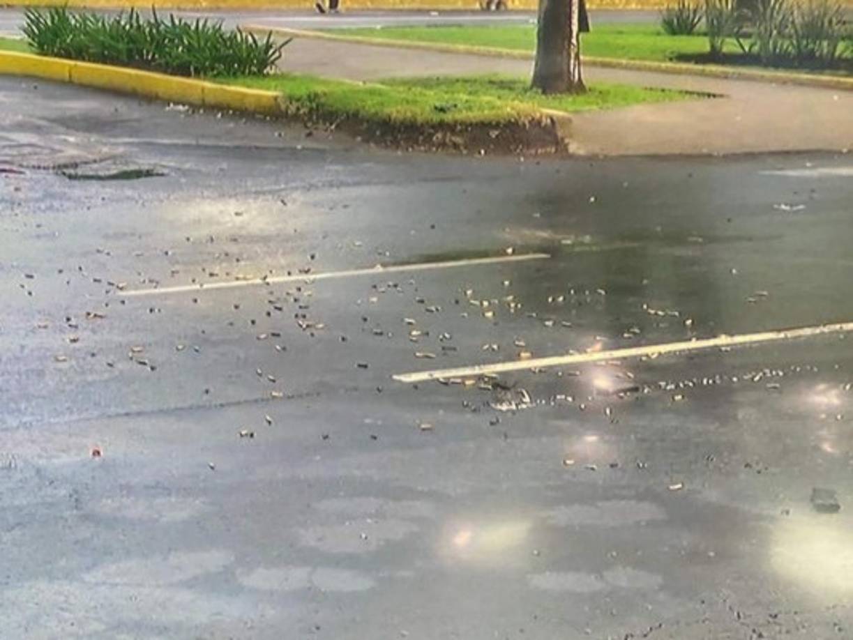 En el lugar del ataque se encontraron más de mil casquillos de bala de las armas de los sicarios y de los agentes de seguridad.