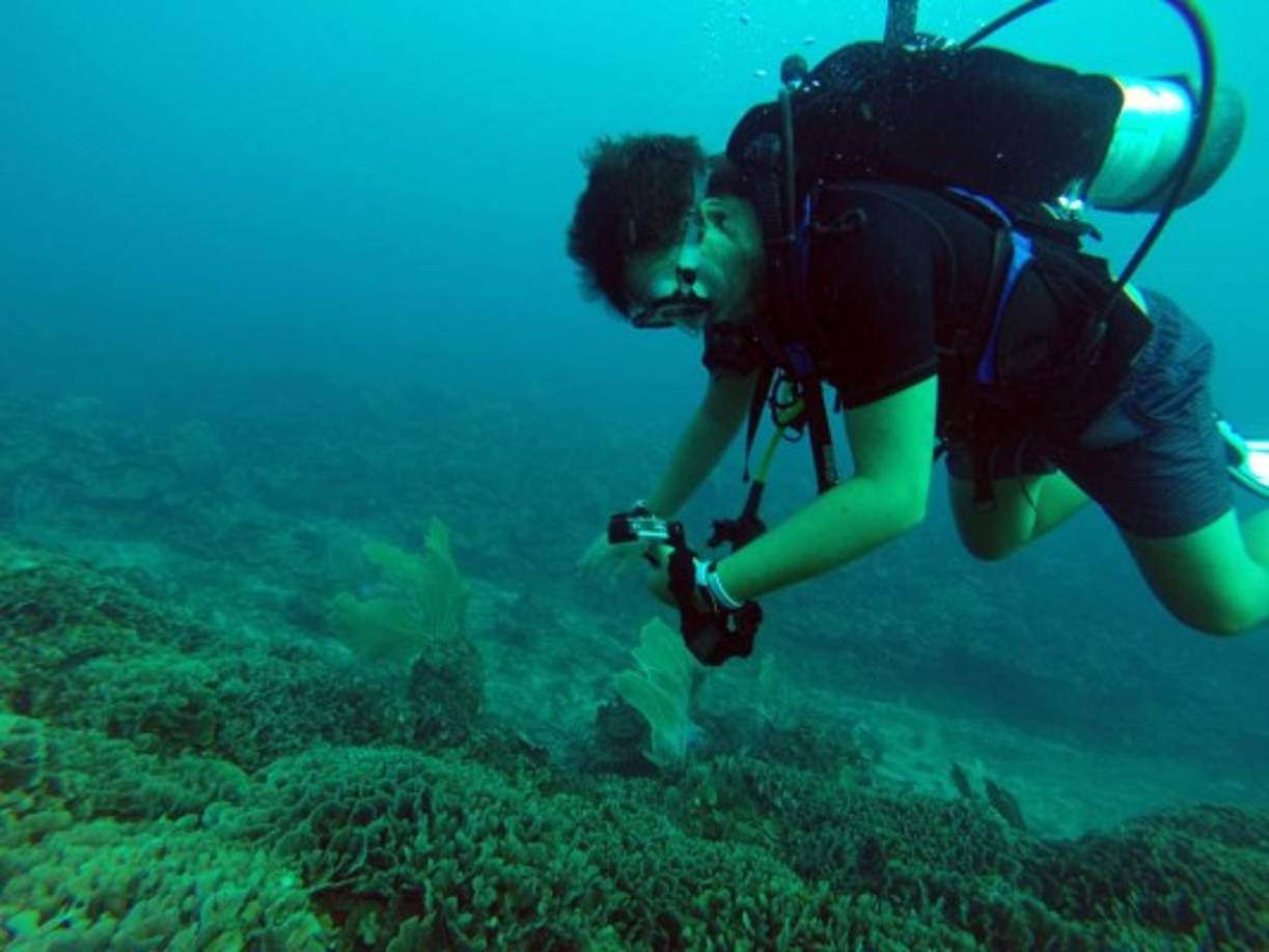 Tela es uno de los lugares turísticos favoritos de los hondureños.