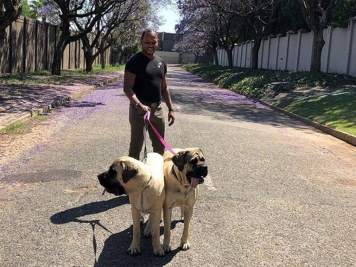 El pastor sudáfricano también es un amante de los perros. Sus mascota reciben atención de primera clase con su alimentación y visita al veterinario.