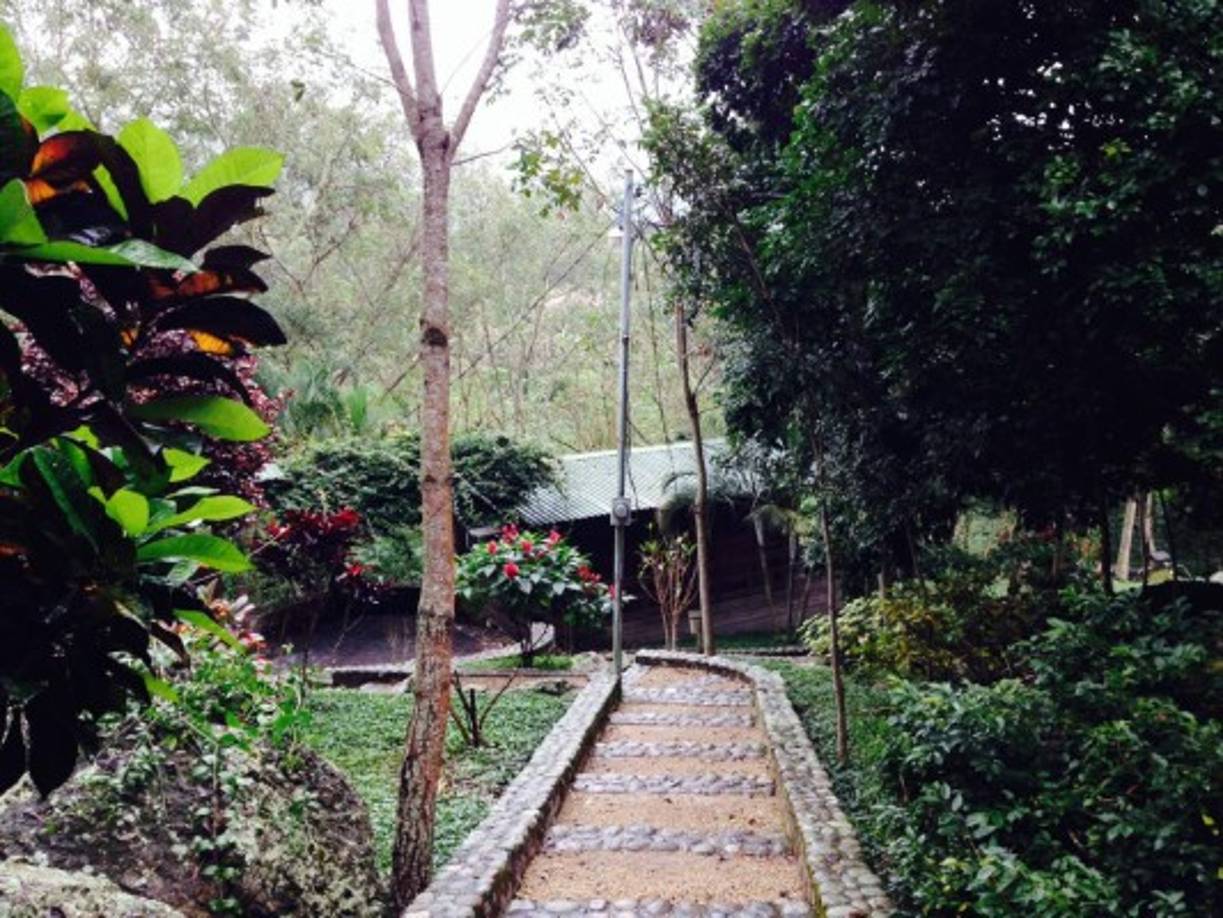 Desde San Pedro Sula llegue a Ceibita, luego diríjase a Trinidad y en el kilómetro 80 gire a mano derecha, entrando por la aldea El Trigre; son 7 kilómetros en carretera de tierra hacia arriba, pasando la comunidad de La Guama. Desde Tegucigalpa entra por Pito Solo, antes de llegar al lago, luego pasa por la cabecera de Santa Bárbara y llega a Trinidad; está a un kilómetro adelante a mano izquierda. www.estanciaelpedregal.com/laestancia.htm. Teléfonos: 2552-6359/6365/9587-0160.