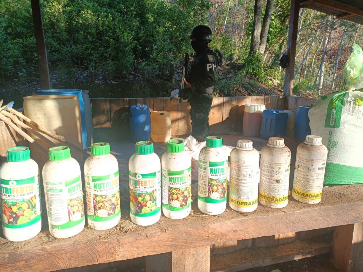 En esta zona boscosa y selvática, además las autoridades localizaron un laboratorio supuestamente dedicado a procesar este tipo de droga. 