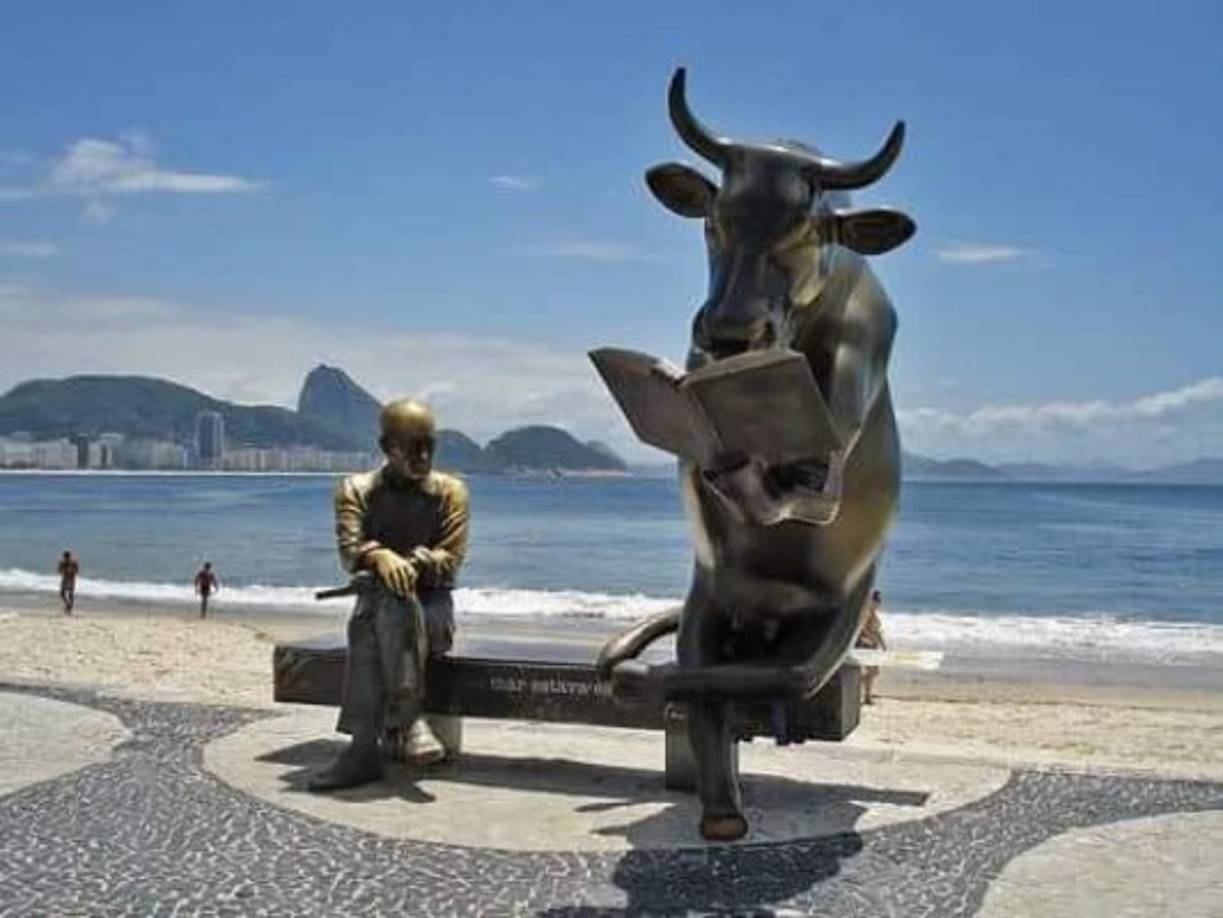 Estoy confundido, si Marvin Ponce me grita VACA INTELECTUAL me considero insultado o agradado?