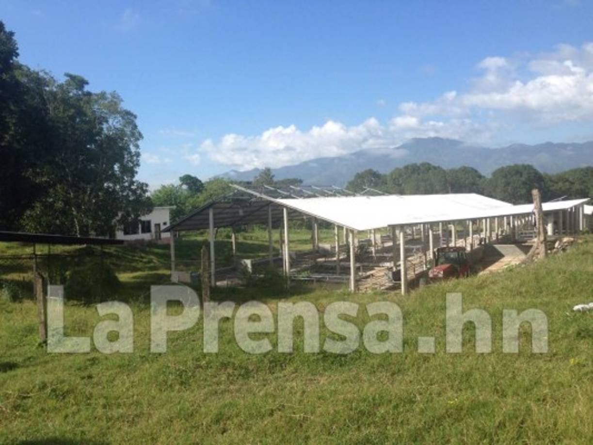 En El Negrito, Yoro, fueron aseguradas 22 propiedades.