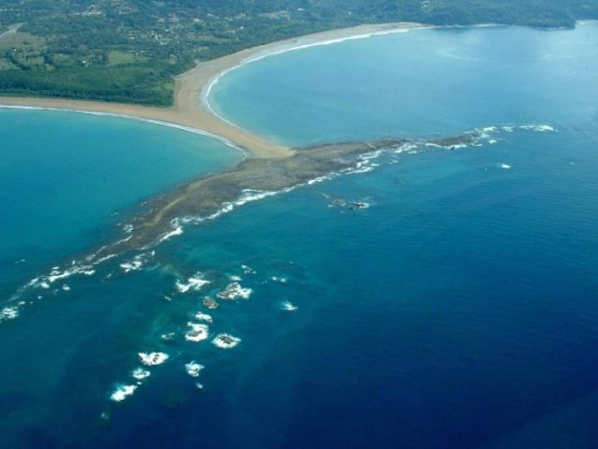 Las ballenas están entre los animales más grandes del mundo, dan la oportunidad a los turistas de presenciar un maravilloso espectáculo.