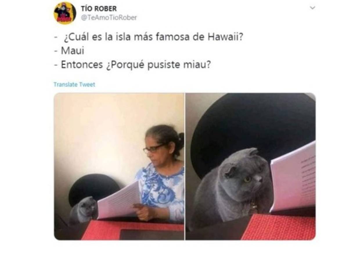 A partir de eso, varios cibernautas han utilizado su ingenio y humor en sus diferentes publicaciones, en las que también destacan momentos muy graciosos.<br/>