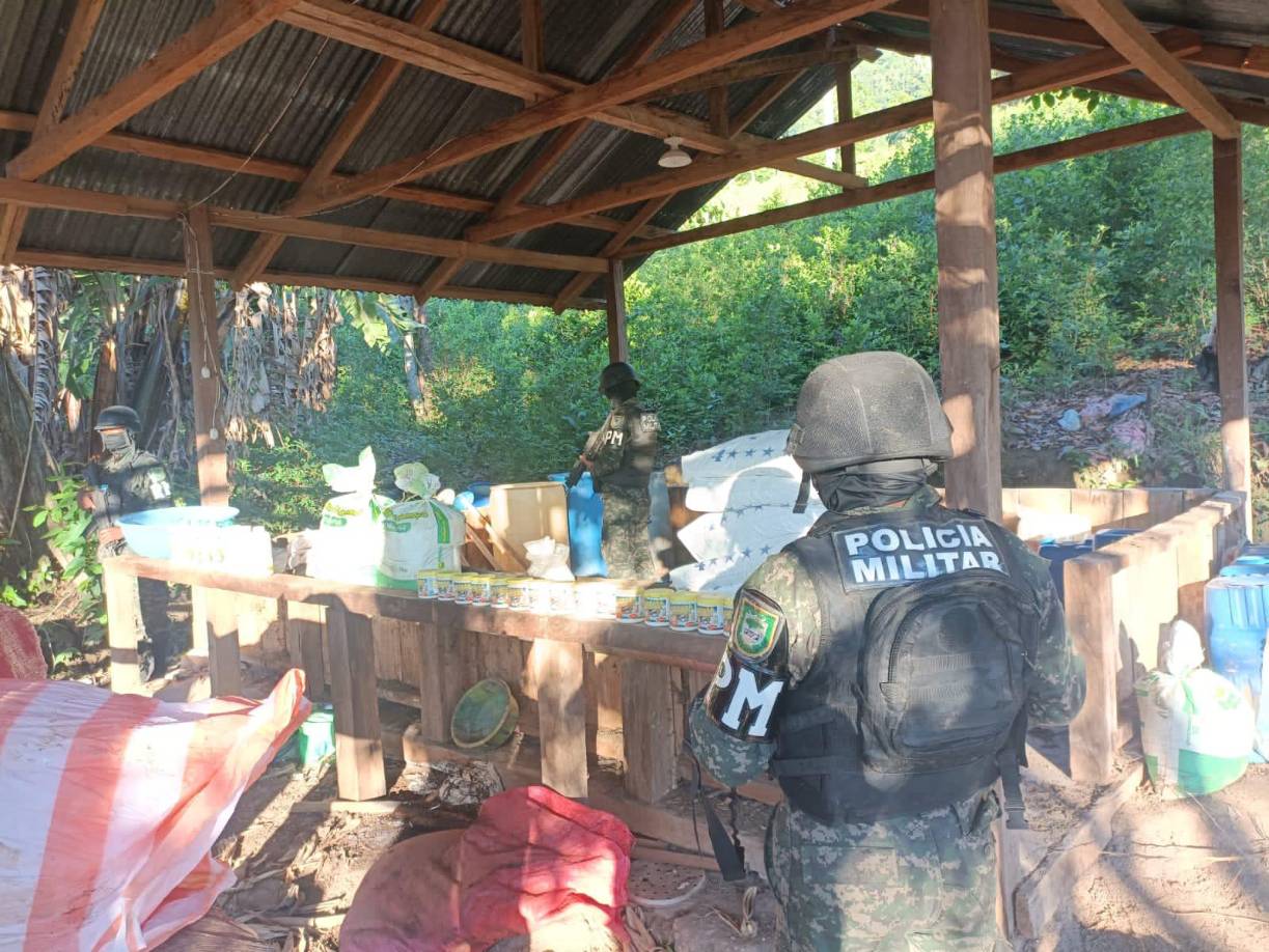 Las primeras plantaciones de hoja de coca en Honduras fueron localizadas en abril de 2017 en una zona montañosa del departamento de Olancho, en el oriente del país centroamericano, según las autoridades.