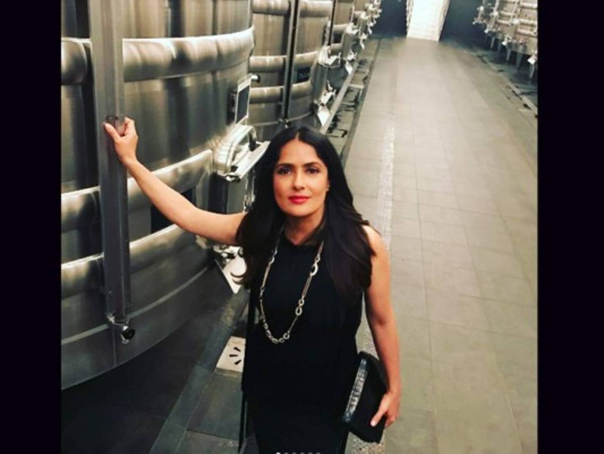 La actriz mexicana, Salma Hayek estudió Relaciones Internacionales en la Universidad Iberoamericana.
