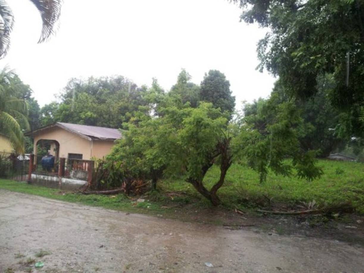 Tela está ubicado en el Caribe de Honduras y está en las zonas más vulnerables por las que pasará la tormenta tropical Earl.