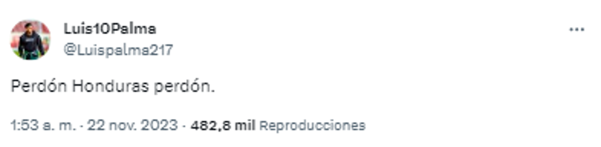 Luis Palma y su duro mensaje tras la derrota de Honduras ante México