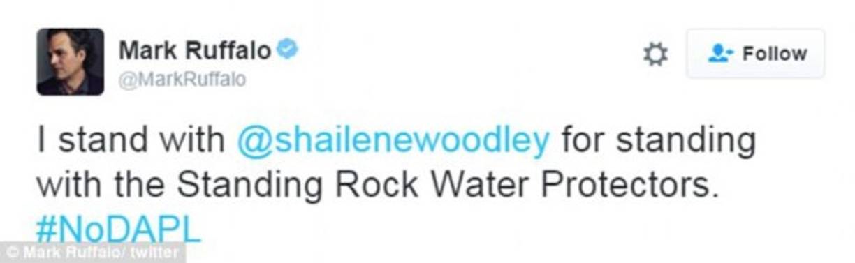 Mark Ruffalo quien es un conocido ambientalista y activista político. Mostró su apoyo a la joven actriz.