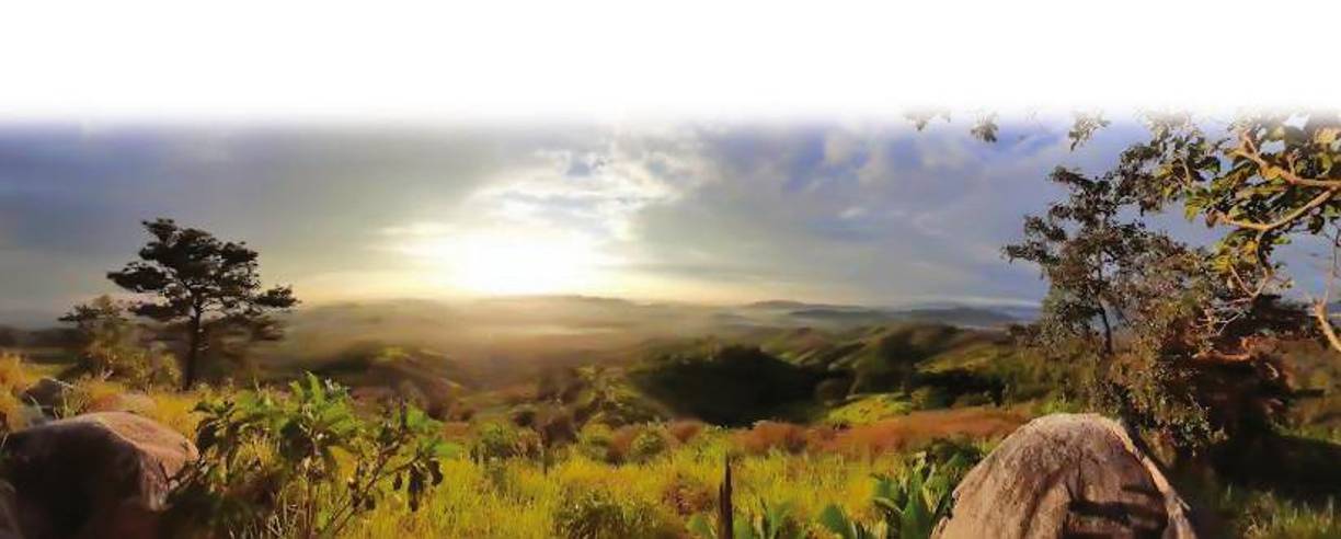  Sendero de Poleth. Situado en Choloma, una zona ideal para hacer senderismo, con vistas impresionantes de la naturaleza. Cercano al parque infantil Chaguito House. Con acceso libre, es mejor visitarlo de día para apreciar cada detalle que ofrece el paisaje. Tiene marcada la ruta para que quienes nunca lo han visitado puedan disfrutar sin temor a perderse en el sendero.