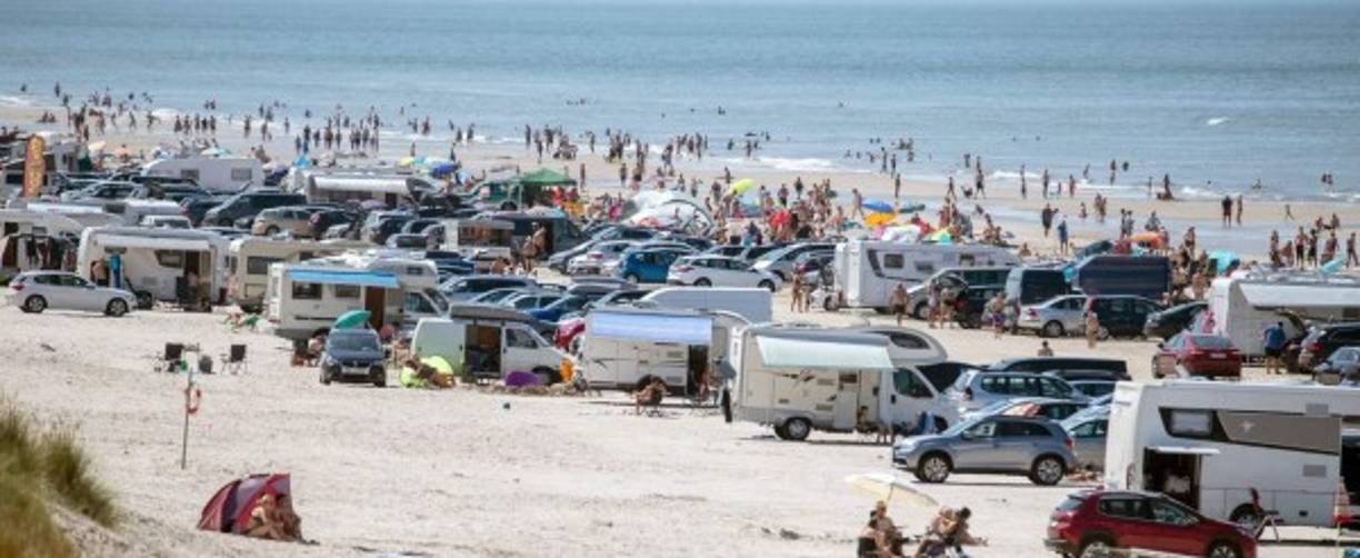 Los alemanes ya soportaron temperaturas muy altas entre abril y junio, pero alternadas con precipitaciones copiosas, por lo que la situación no será tan grave para la agricultura como sucedió el año pasado por estas fechas, también con mucho calor.