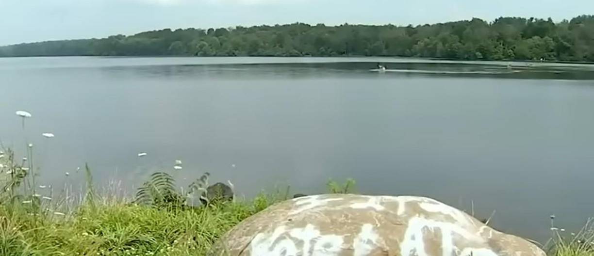 Marvin Fernández Chicas no lo dudó una vez y se tiró a las aguas del lago Nockamixon, ubicado en el suroeste de Pennsylvania.