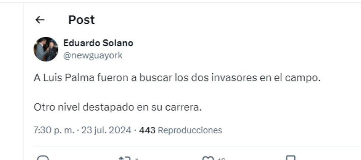 ”A Luis Palma lo fueron a buscar los dos invasores en el campo. Otro nivel destapado en su carrera”, señaló el periodista Eduardo Solano.