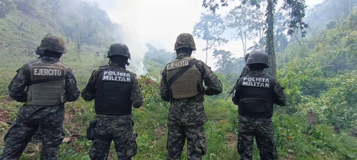 En total fueron destruidas 20 manzanas de hoja de coca.