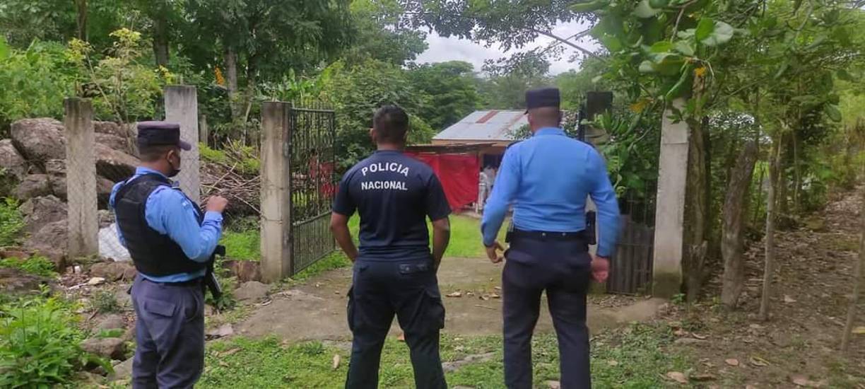 Se encontró en una propiedad privada en Santa Cruz de Yojoa, Cortés.