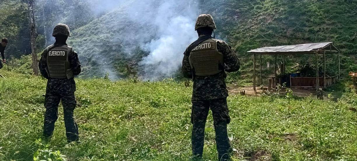 En la propiedad habían tres viveros de hoja de coca. 