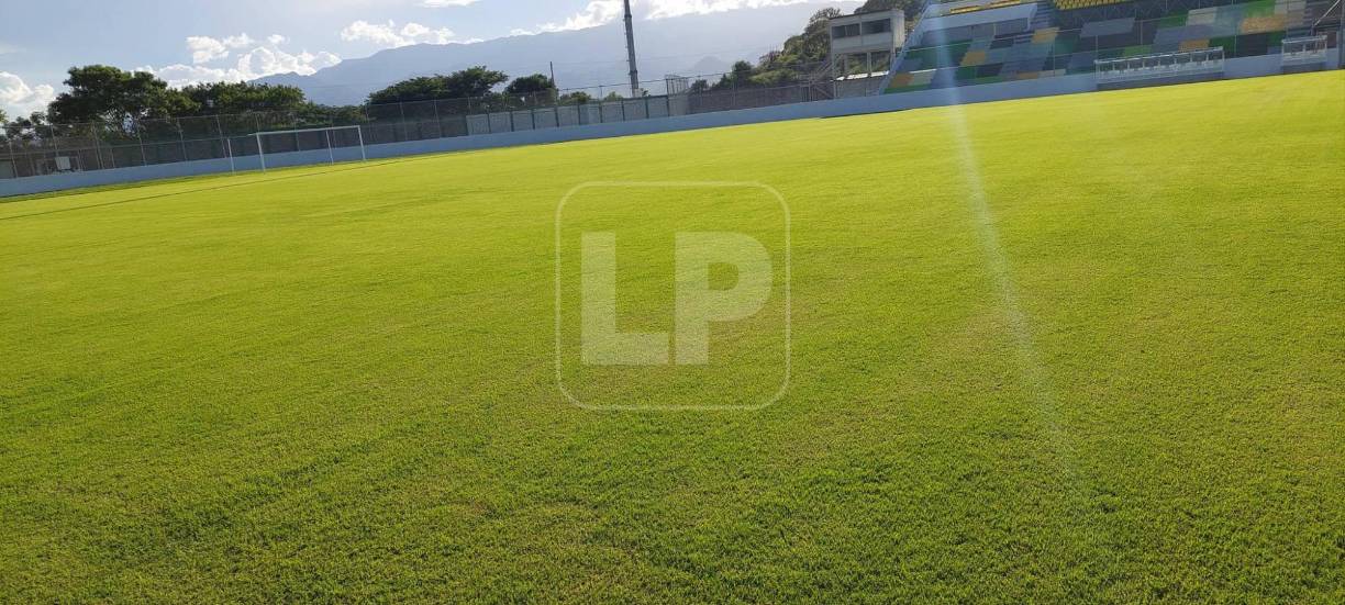 La grama del recinto deportivo es uno de los grandes cambios significativos. 