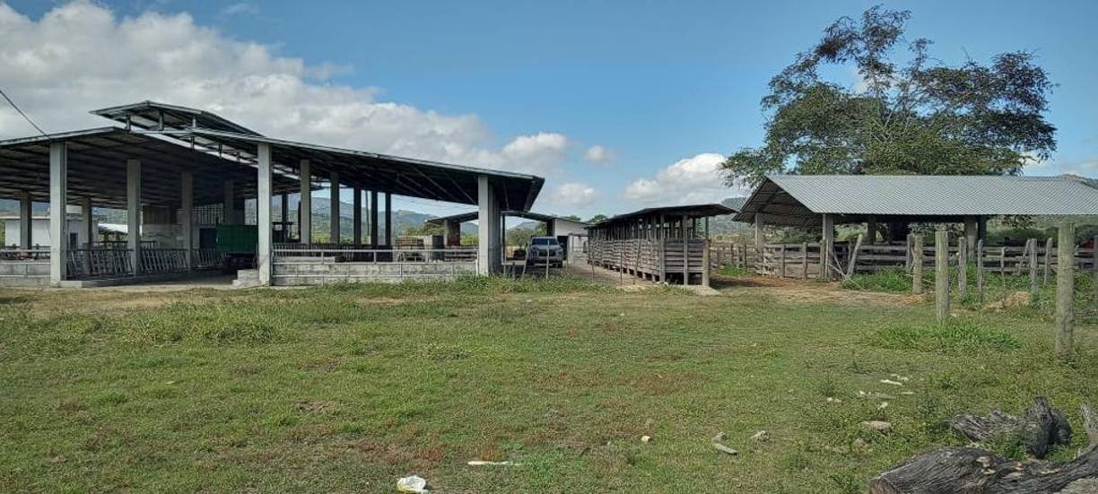 El otro hondureño acusado es Víctor Manuel Viera, quien está pendiente de captura, señaló Martínez.