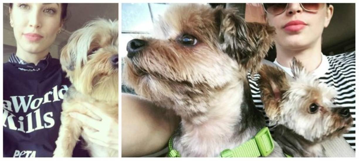 Cuando no estaba trabajando Stevie llevaba una vida hogareña, como ella misma se describía. Disfrutaba pasar con sus dos perros, hacer manualidades, videos y ver la TV.<br/>