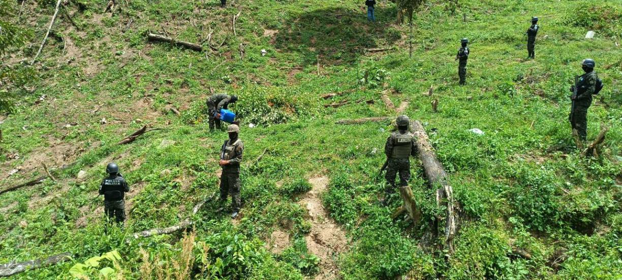 Hasta ahora no se ha detenido a ninguna persona, pero se inició una investigación para saber a quién pertenece el terreno y el laboratorio para procesar droga. 