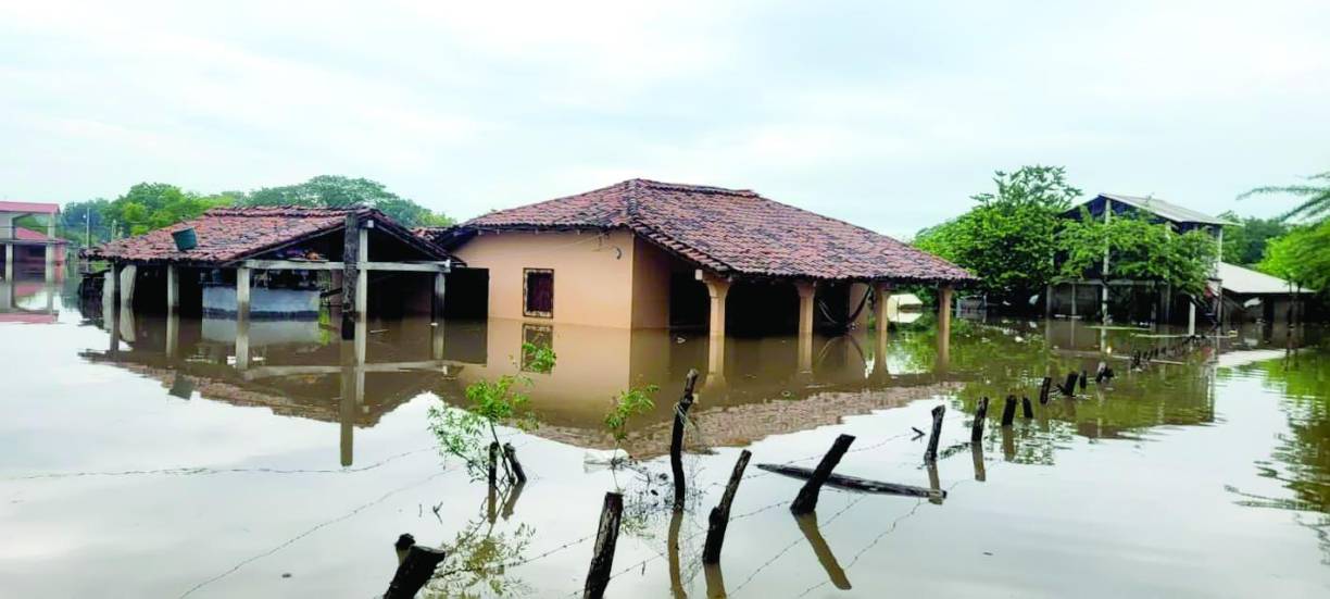 Los miles de hondureños que viven en la zona sur de Honduras están condenados a sufrir cada invierno por las crecidas de los caudalosos ríos que cruzan por Choluteca y Valle. Una de las zonas más afectada es la aldea de El Cubulero en Alianza.