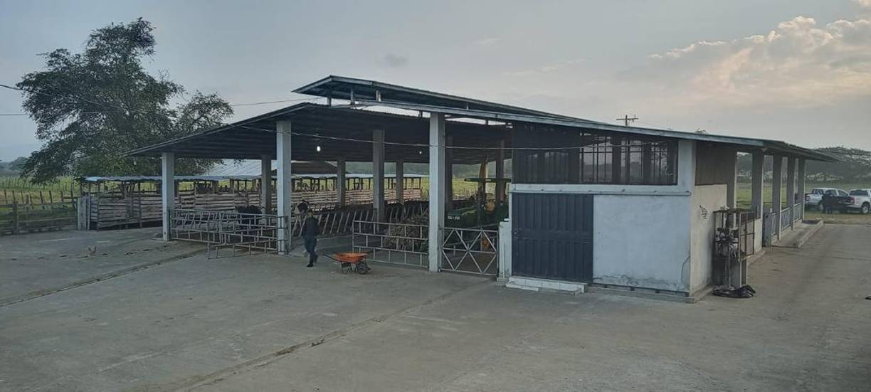 Las labores de aseguramiento son derivadas de la “comisión del supuesto delito de lavado de activos”, señaló el Ministerio Público, que precisó además que las investigaciones contra los tres hondureños continuarán para realizar “una efectiva afectación patrimonial de los activos derivados de sus actividades ilícitas”.