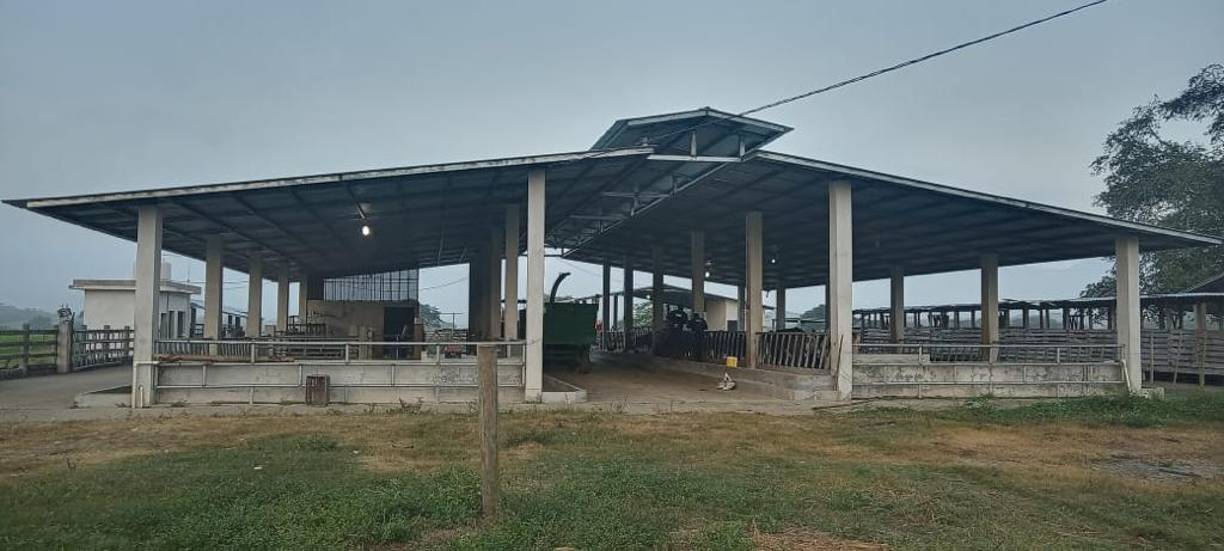 A los cuatro hondureños se les acusa de distribuir fentanilo en San Francisco, California (EE.UU.), y fueron solicitados en extradición por la Corte del Distrito Norte de ese estado.