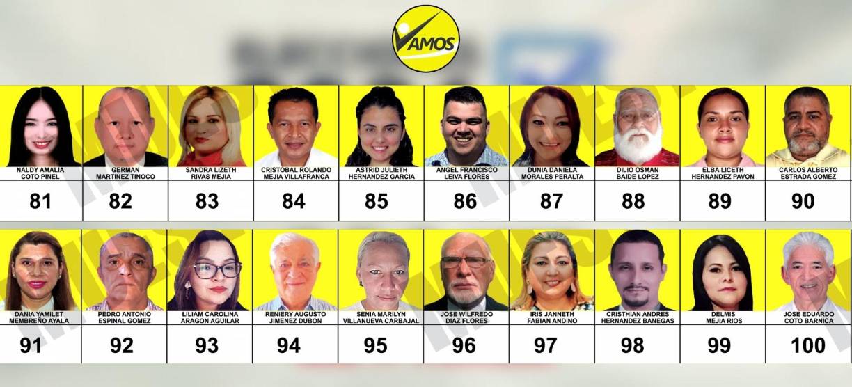 Planilla del Partido Vamos | (Ampliar imagen si es necesario)