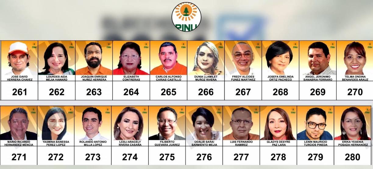 Planilla del Parrtido Innovación y Unidad (Pinu) | (Ampliar imagen si es necesario)