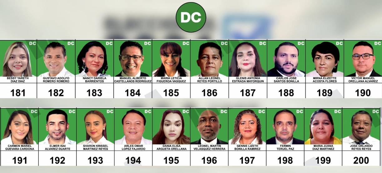 Planilla del Partido Democracia Cristiana | (Ampliar imagen si es necesario) 