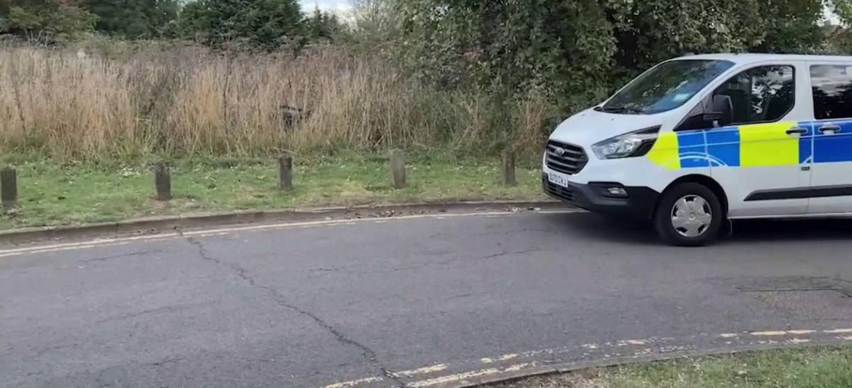 Aunque los motivos detrás del ataque de Nicholas aún no se han esclarecido completamente, las autoridades británicas están realizando peritajes psiquiátricos para determinar si el joven pudo haber sufrido una alteración mental en el momento del crimen.