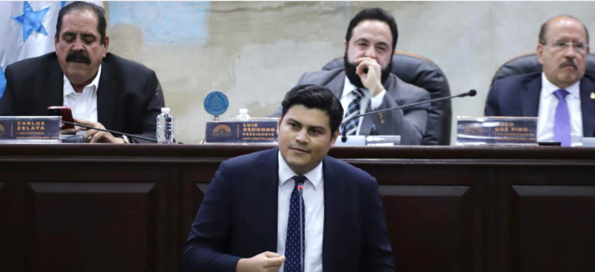 En política, Ochoa ha militado en el Partido Libre desde hace varios años y en 2017 se convirtió en jefe de campaña de la Alianza de Oposición (Pinu, Salvador Nasralla y Libre). 