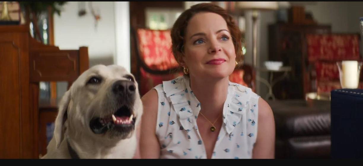 La producción está basada en el libro <b>“Dog Gone”</b> de Pauls Toutonghi. En el libro cuenta la historia de F<b>ielding Marshall</b> que en 1998 perdió a su perro <b>Gonker</b> en el Sendero de los Apalaches.