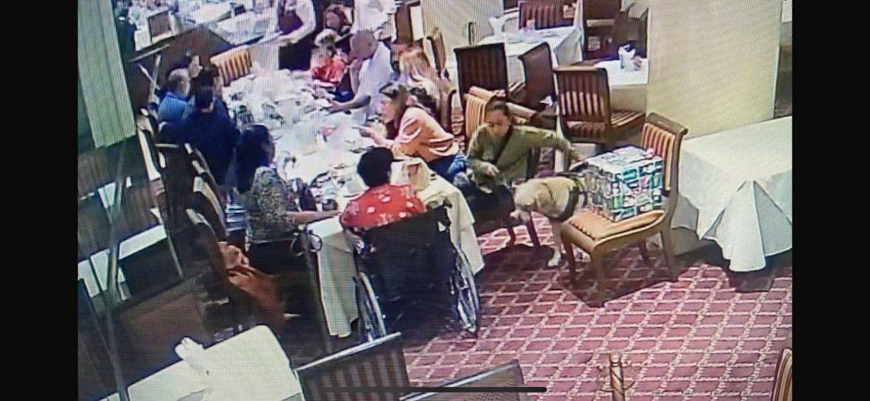 Tras media hora de espera, y después de anunciar que llamaría a la policía, se le permitió entrar con Odín, aunque el hotel indicó que era “por esta vez”, tratándolo como un favor especial.