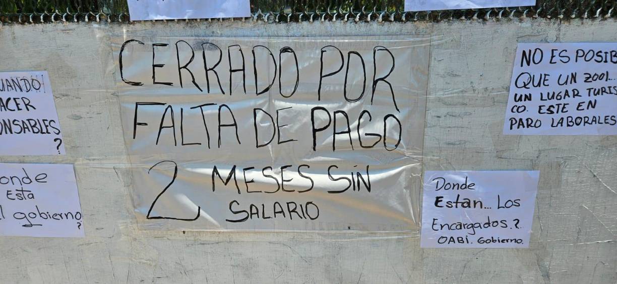 Los empleados aseguran que les deben dos meses de salario y piden a la Oficina Administradora de Bienes Incautados (OABI) solventar la problemática. 