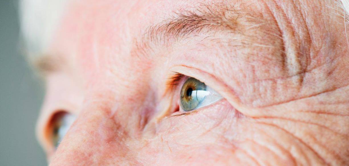 <b>Degeneración macular:</b> La zeaxantina, un antioxidante en la papaya, protege la salud ocular y previene la degeneración macular asociada a la edad.