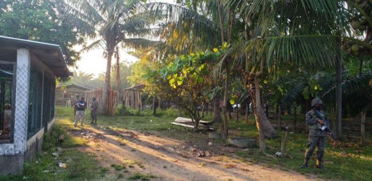 En la Operación Omega III se proyecta también el accionar de las Fiscalías Regionales de Santa Bárbara, Occidente, Norte, Bajo Aguán, Litoral Atlántico, Comayagua, Sur, Centro, Olancho y Oriente.