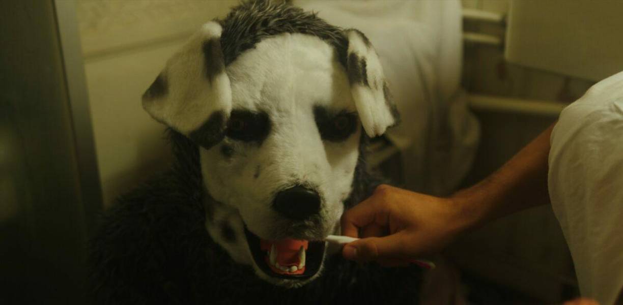 Sigrid intenta mantener la mente abierta y continúa la relación, pero pronto descubre un tono insidioso en Christian. Quizás el “juego del amo y su perrito” no sea tan inocente como parece.