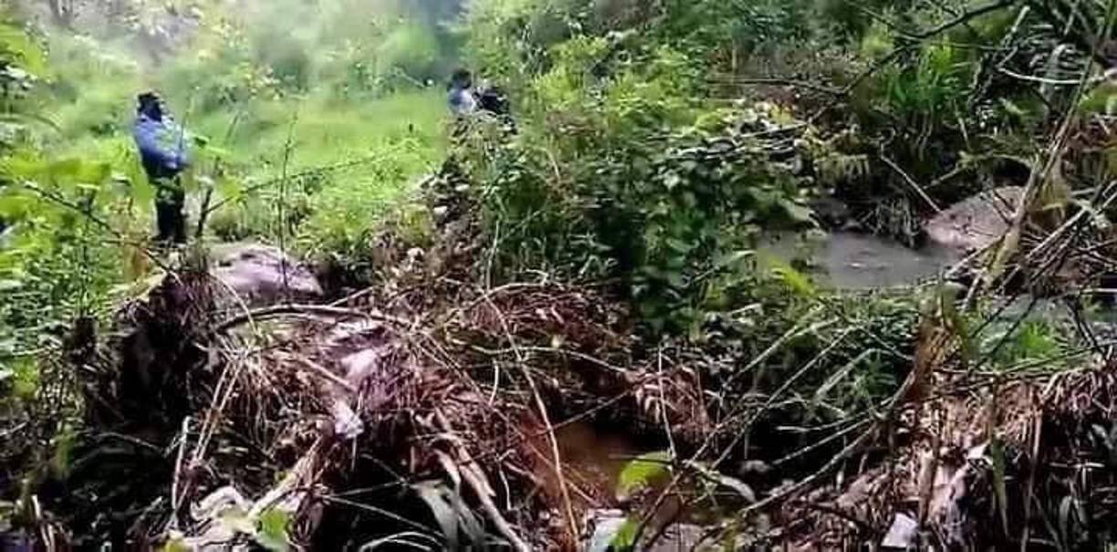 Especialmente por el padrastro, quien fue capturado por la Policía para efectos de investigación.