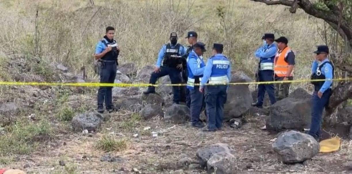 Según la Policía, el conductor del carro que atropelló el semoviente huyó. 