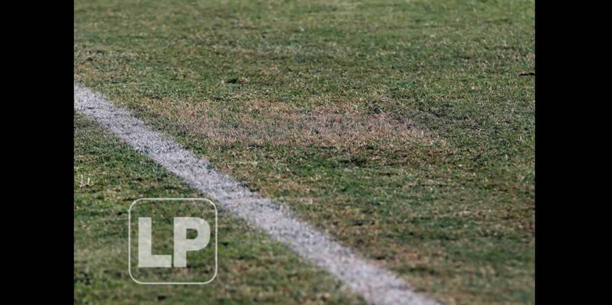 Una evidencia del maltrato en el que se encuentra la grama del estadio Nacional.