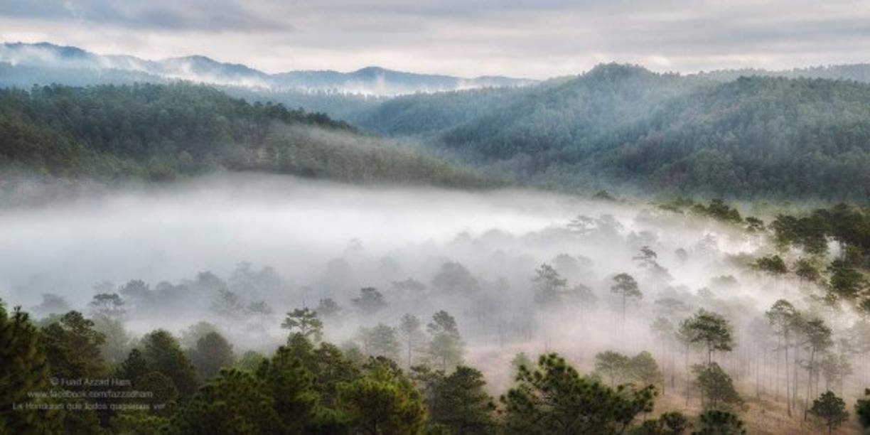 La belleza de Zambrano cubierta de niebla... Foto de Fuad Azzad Ham
