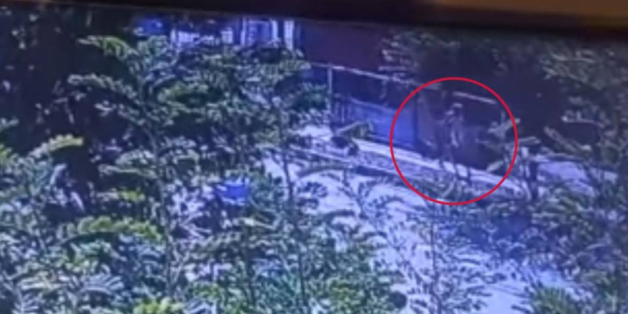 El día de la desaparición, la familia de Sofía estaba reunida en casa de su abuela. Durante la tarde, la niña pidió las llaves de su casa, que estaba a solo una cuadra de distancia, para buscar un champú que quería usar para bañar a la perrita de su tía. 